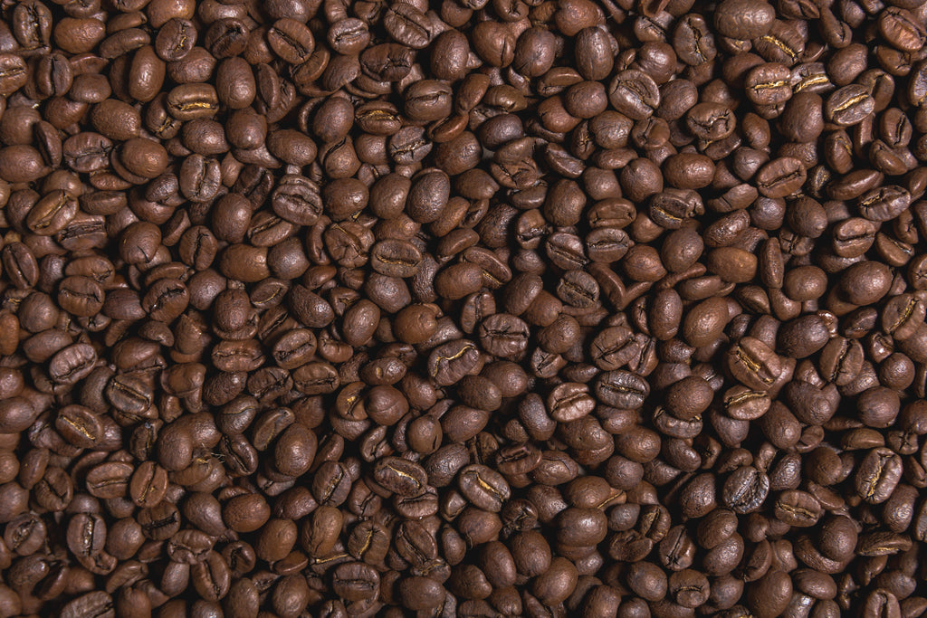 3-Pack Sampler featuring: Honduras Reserva Organic • Brazil Cerrado Natural • Ethiopia Natural Organic